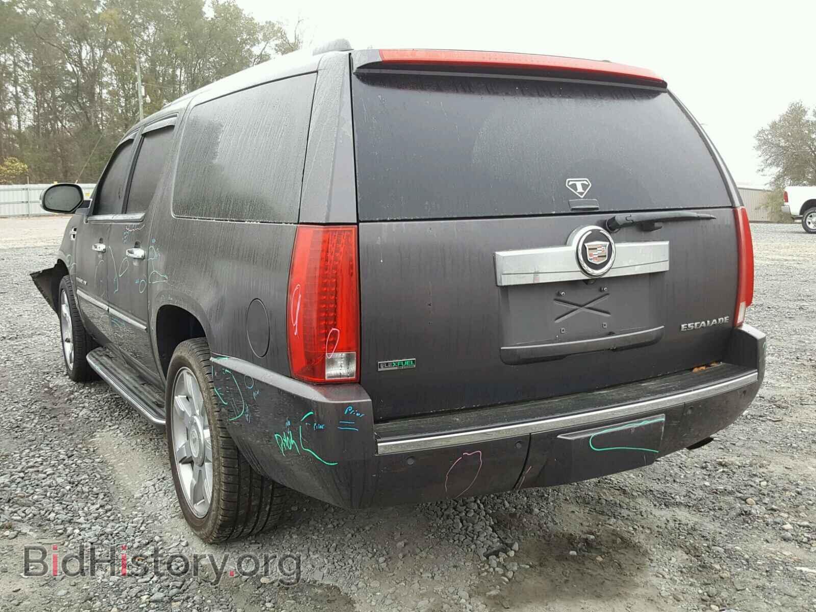 2011 CADILLAC ESCALADE - VIN: 1GYS3HEF8BR202797 - Фото 3