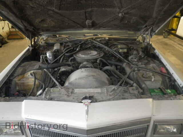 1984 CADILLAC DEVILLE - VIN: 1G6AM6982E9134566 - Photo 7