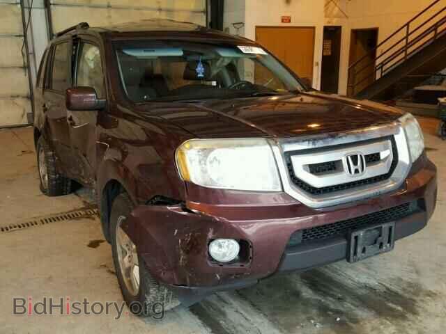 Фотография 5FNYF48439B004672 - HONDA PILOT 2009