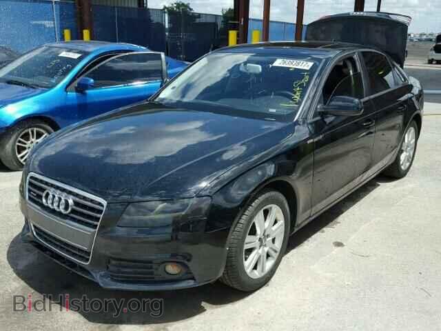 2010 AUDI A4 - VIN: WAUBFAFL6AN029342 - Фото 2