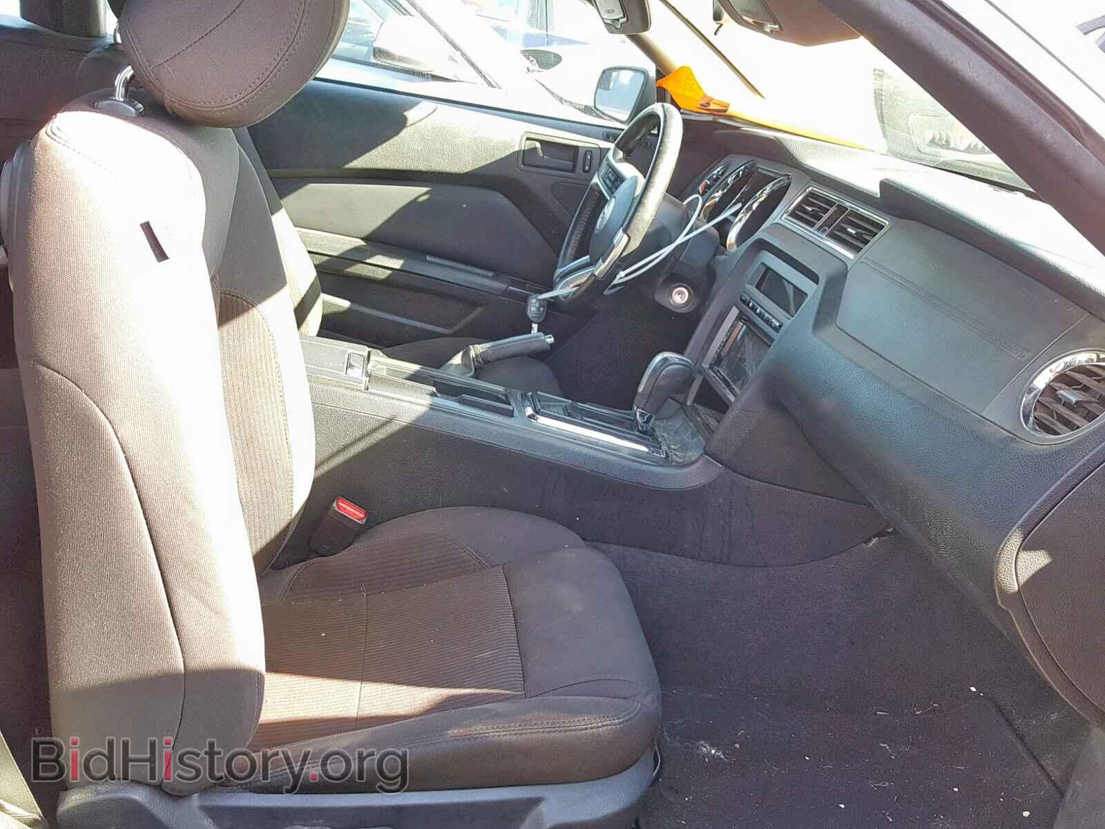 2013 FORD MUSTANG - VIN: 1ZVBP8EM8D5234181 - Фото 5