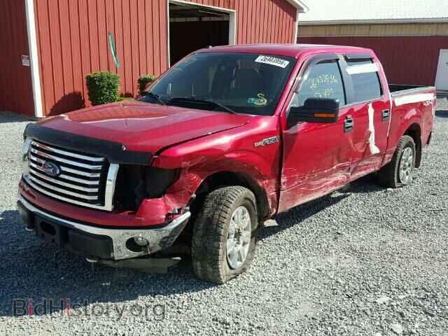 2011 FORD F150 - VIN: 1FTFW1EF8BFA37034 - Фото 2