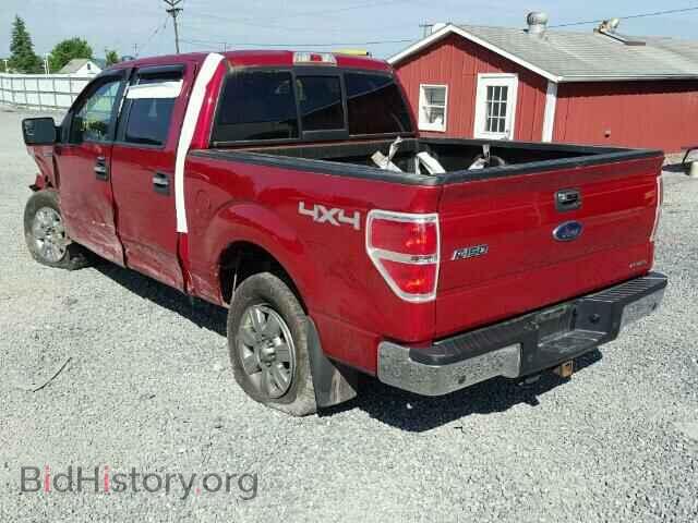 2011 FORD F150 - VIN: 1FTFW1EF8BFA37034 - Фото 3