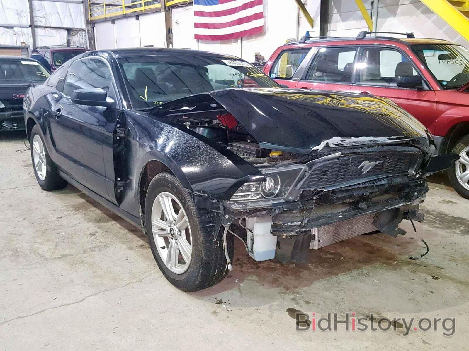 Photo 1ZVBP8AM5D5276040 - FORD MUSTANG 2013