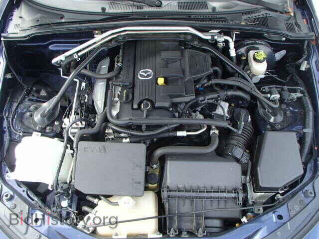 2010 MAZDA MIATA - VIN: JM1NC2EF5A0208334 - Фото 7