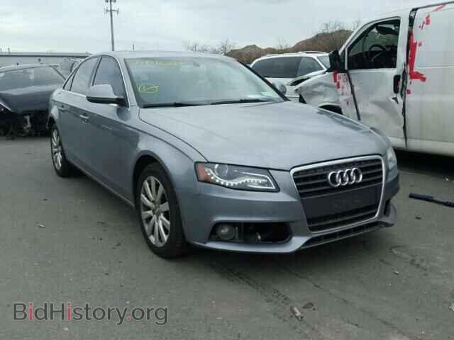 Фотография WAUSF78KX9N050343 - AUDI A4 2009