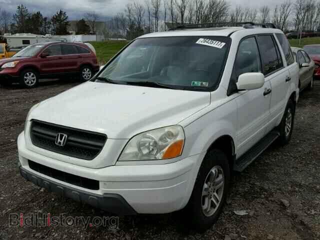 2005 HONDA PILOT - VIN: 2HKYF18525H524347 - Photo 2