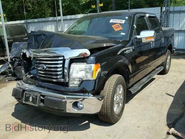 2011 FORD F150 - VIN: 1FTEW1CM7BFD19498 - Фото 2