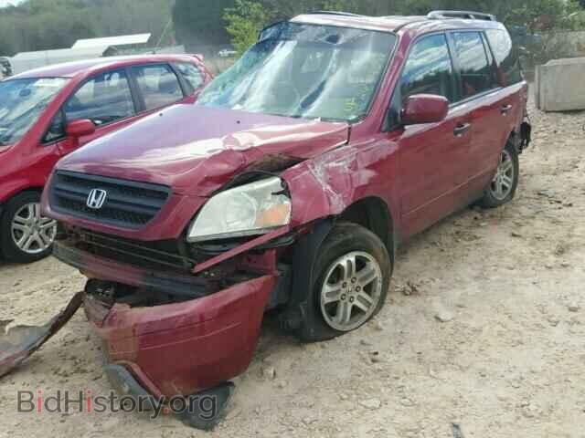2005 HONDA PILOT - VIN: 5FNYF18695B005979 - Фото 2
