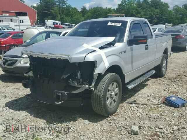 2011 FORD F150 - VIN: 1FTFX1EF4BFB27732 - Фото 2