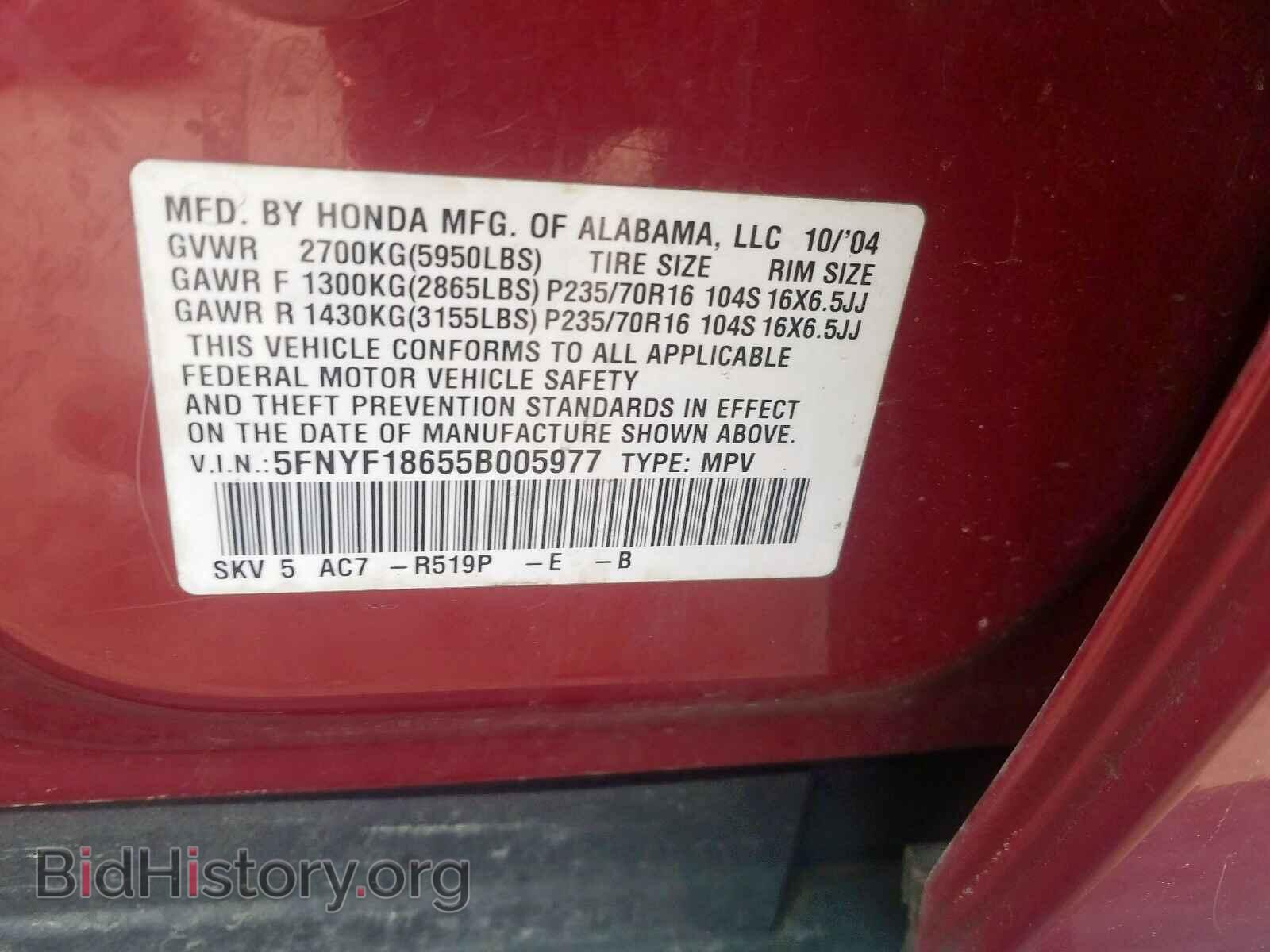 2005 HONDA PILOT - VIN: 5FNYF18655B005977 - Фото 10