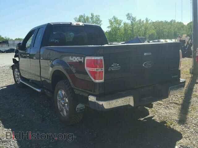 2013 FORD F150 - VIN: 1FTFX1EF2DFA41323 - Фото 3