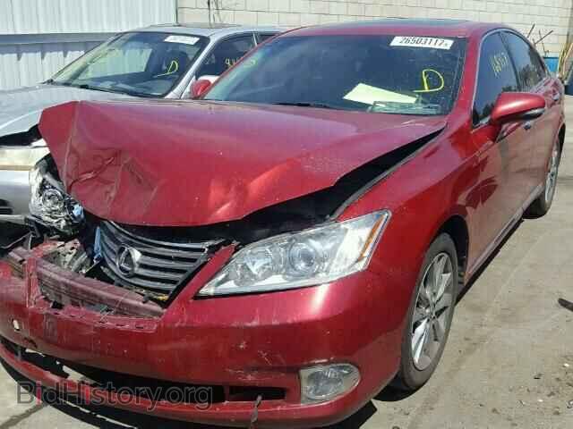 2010 LEXUS ES350 - VIN: JTHBK1EG2A2394832 - Фото 2