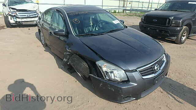 Photo 1N4BA41E37C844992 - NISSAN MAXIMA 2007