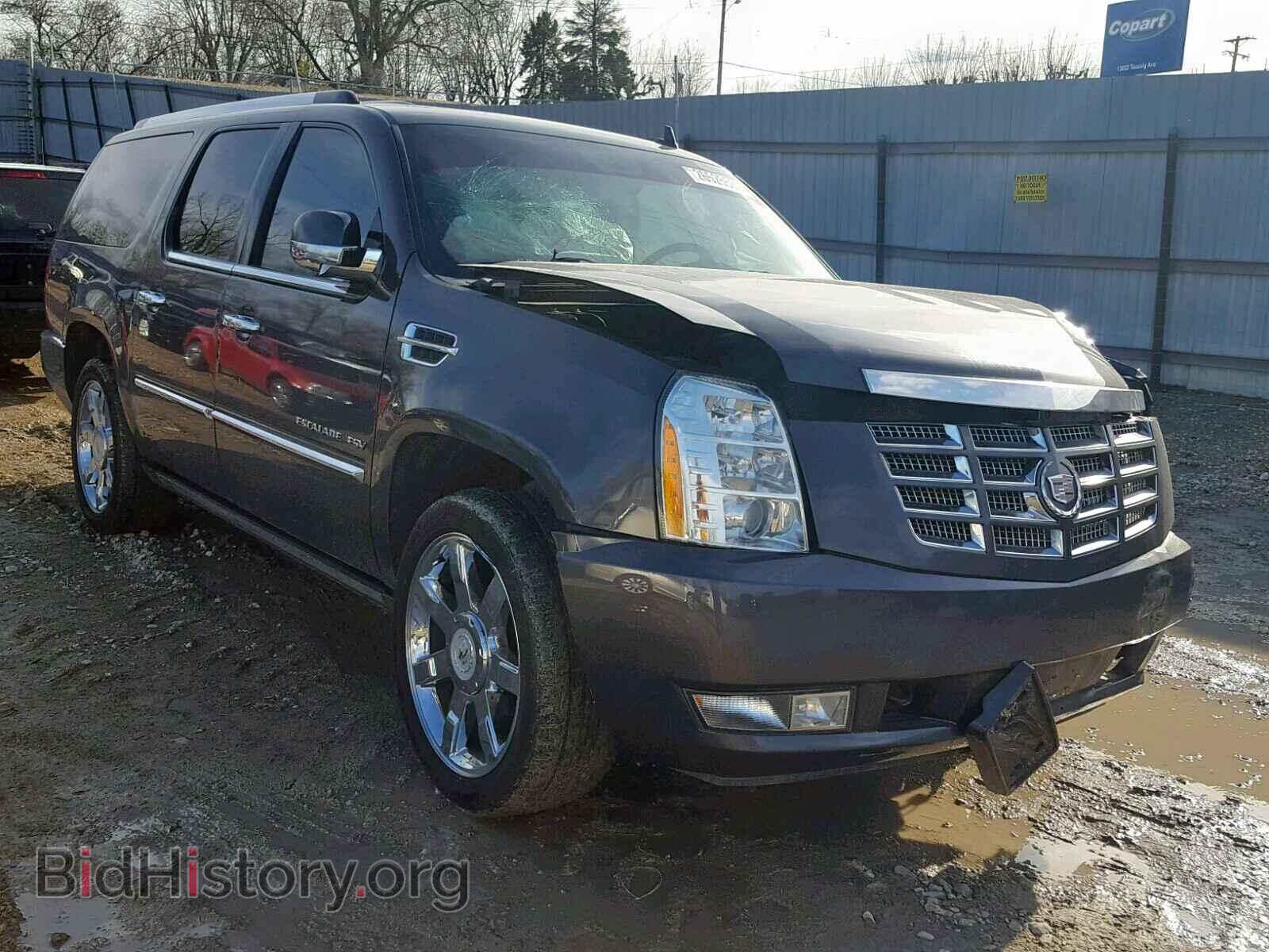 Фотография 1GYS4JEF5BR184800 - CADILLAC ESCALADE E 2011