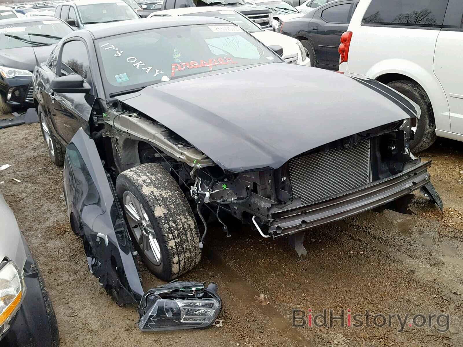 Photo 1ZVBP8AM1E5274934 - FORD MUSTANG 2014