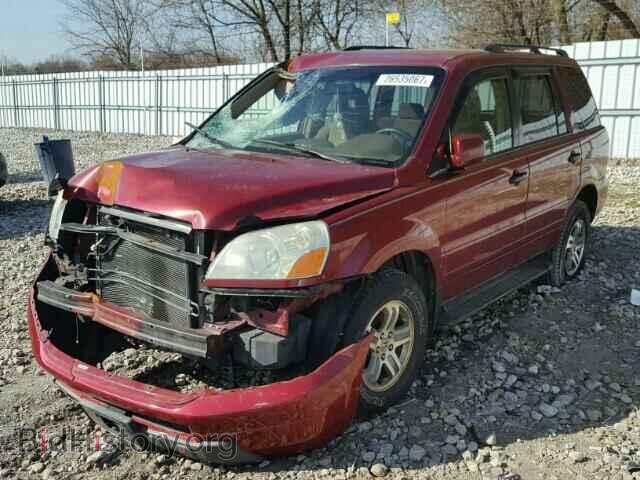 2005 HONDA PILOT - VIN: 5FNYF18485B058414 - Фото 2