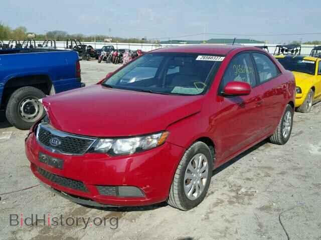 2013 KIA FORTE - VIN: KNAFU4A24D5646640 - Фото 2