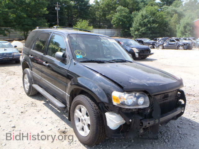 Photo 1FMYU03Z97KA21005 - FORD ESCAPE 2007