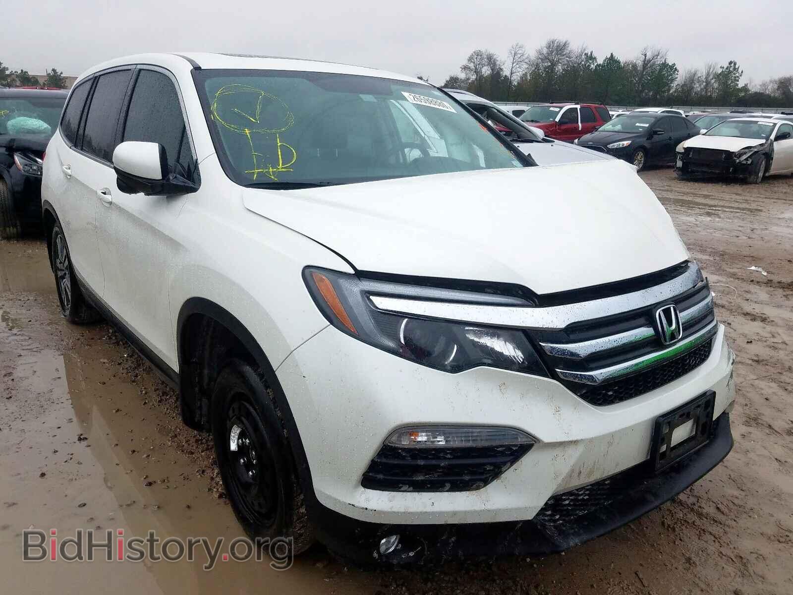 Photo 5FNYF5H56HB002413 - HONDA PILOT 2017