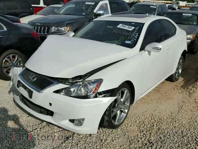 2010 LEXUS IS250 - VIN: JTHBF5C21A2096713 - Фото 2