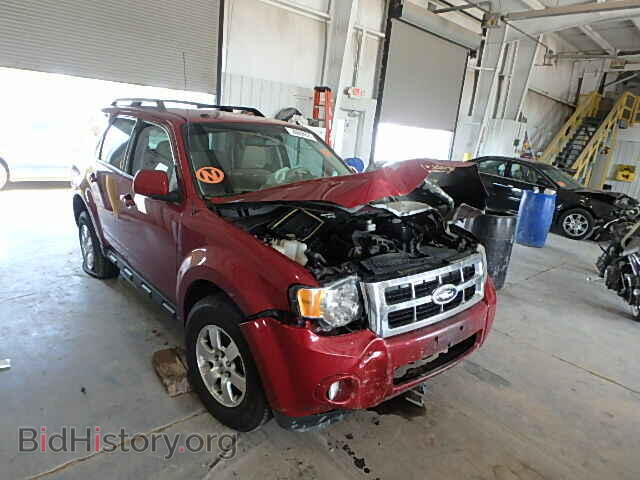Photo 1FMCU9EG7BKC43335 - FORD ESCAPE 2011