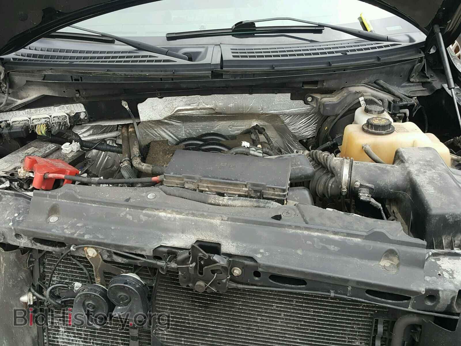 2011 FORD F150 - VIN: 1FTFX1EF9BFA04976 - Фото 7