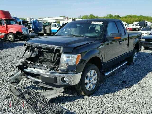2013 FORD F150 - VIN: 1FTFX1CF0DFA86442 - Фото 2