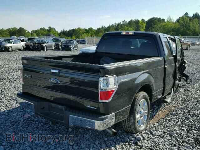 2013 FORD F150 - VIN: 1FTFX1CF0DFA86442 - Фото 4