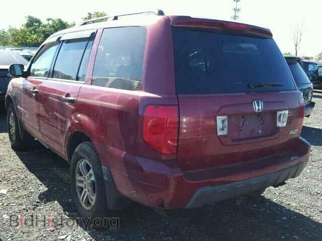 2005 HONDA PILOT - VIN: 5FNYF18665B041192 - Фото 3