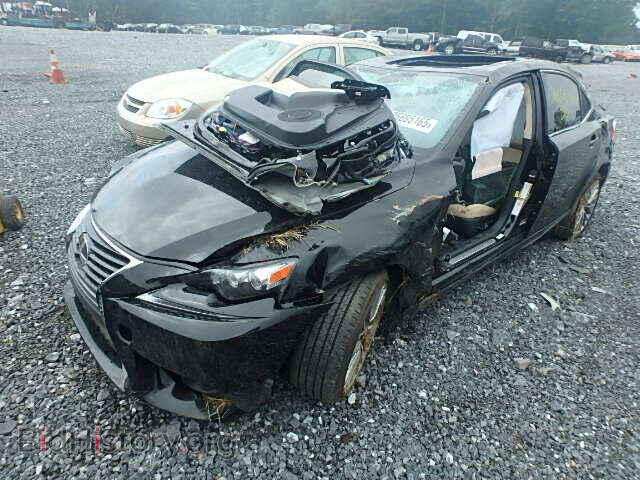 2015 LEXUS IS250 - VIN: JTHBF1D29F5048325 - Фото 2