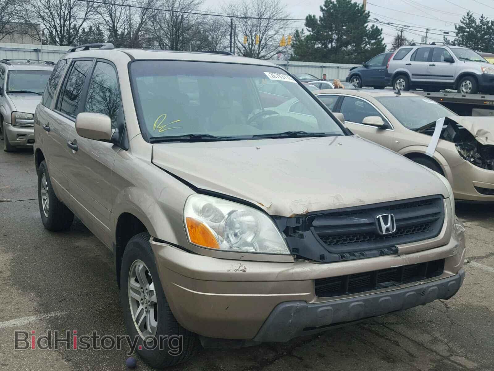 Photo 5FNYF18655B042320 - HONDA PILOT 2005