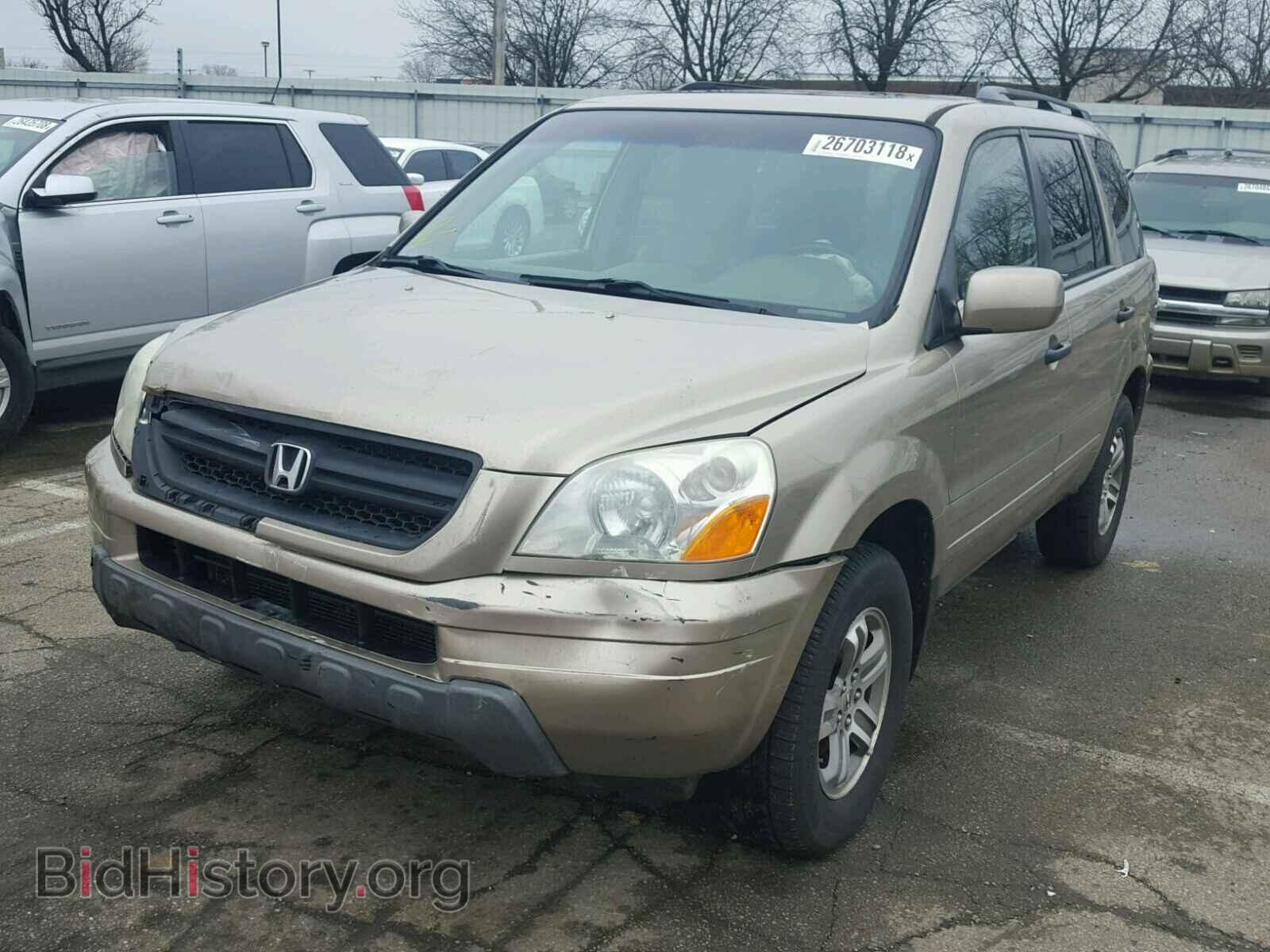 2005 HONDA PILOT - VIN: 5FNYF18655B042320 - Фото 2