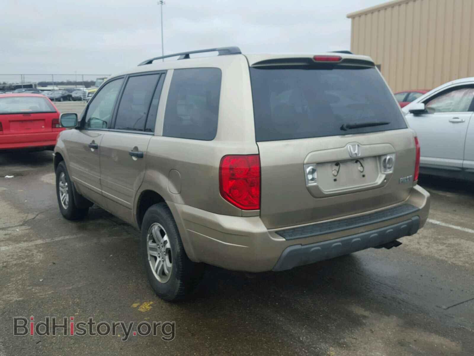 2005 HONDA PILOT - VIN: 5FNYF18655B042320 - Фото 3