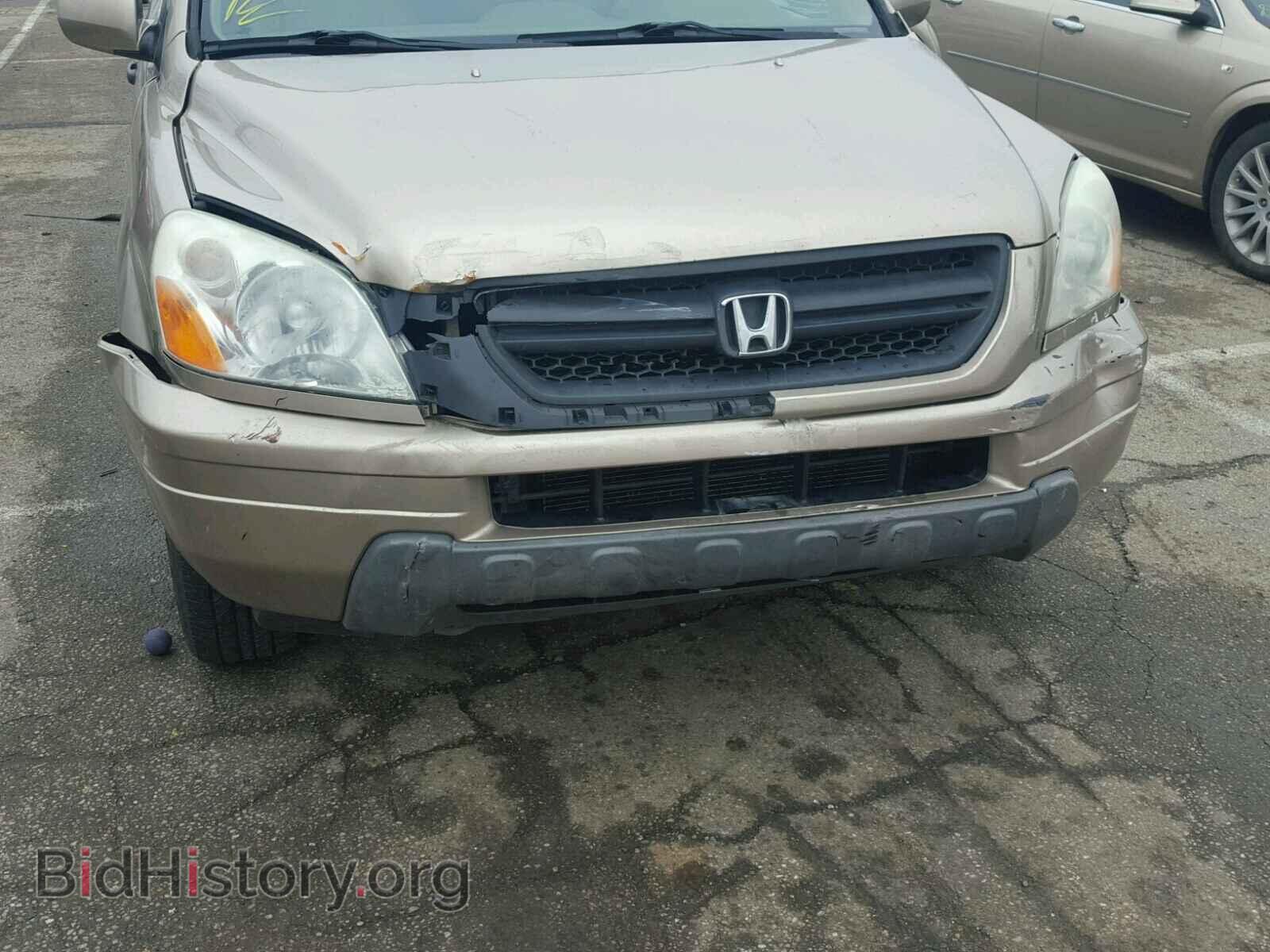 2005 HONDA PILOT - VIN: 5FNYF18655B042320 - Фото 9