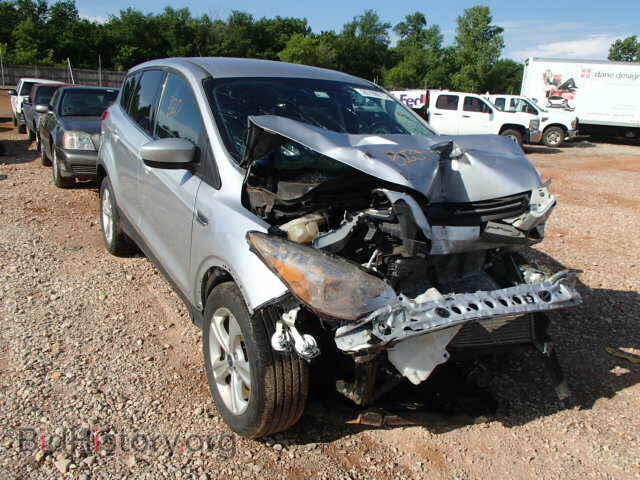 Фотография 1FMCU0GX7DUB24443 - FORD ESCAPE 2013