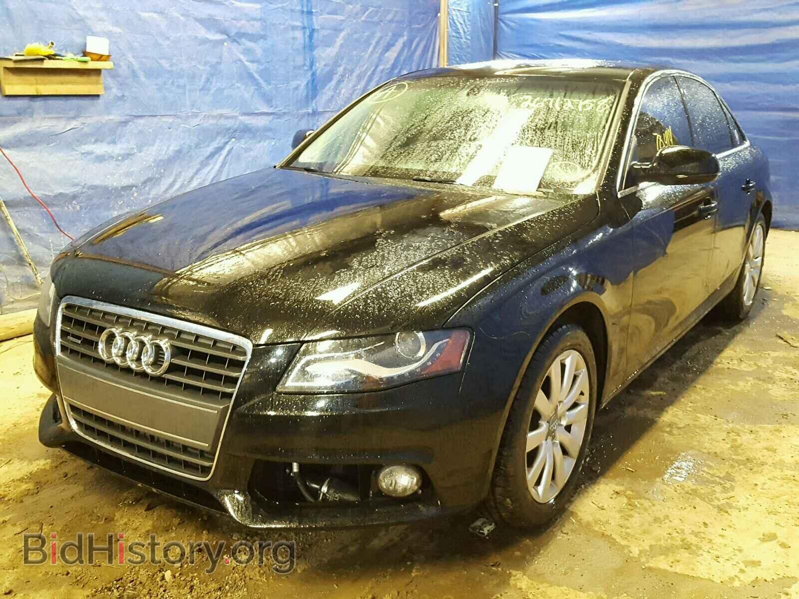 2010 AUDI A4 - VIN: WAUFFAFLXAN026641 - Фото 2