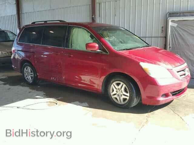 Photo 5FNRL38425B415093 - HONDA ODYSSEY 2005