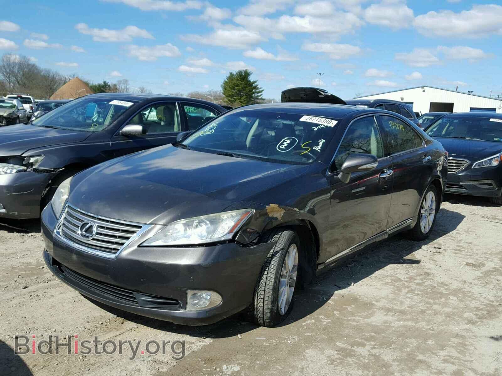 2010 LEXUS ES350 - VIN: JTHBK1EG5A2367799 - Фото 2
