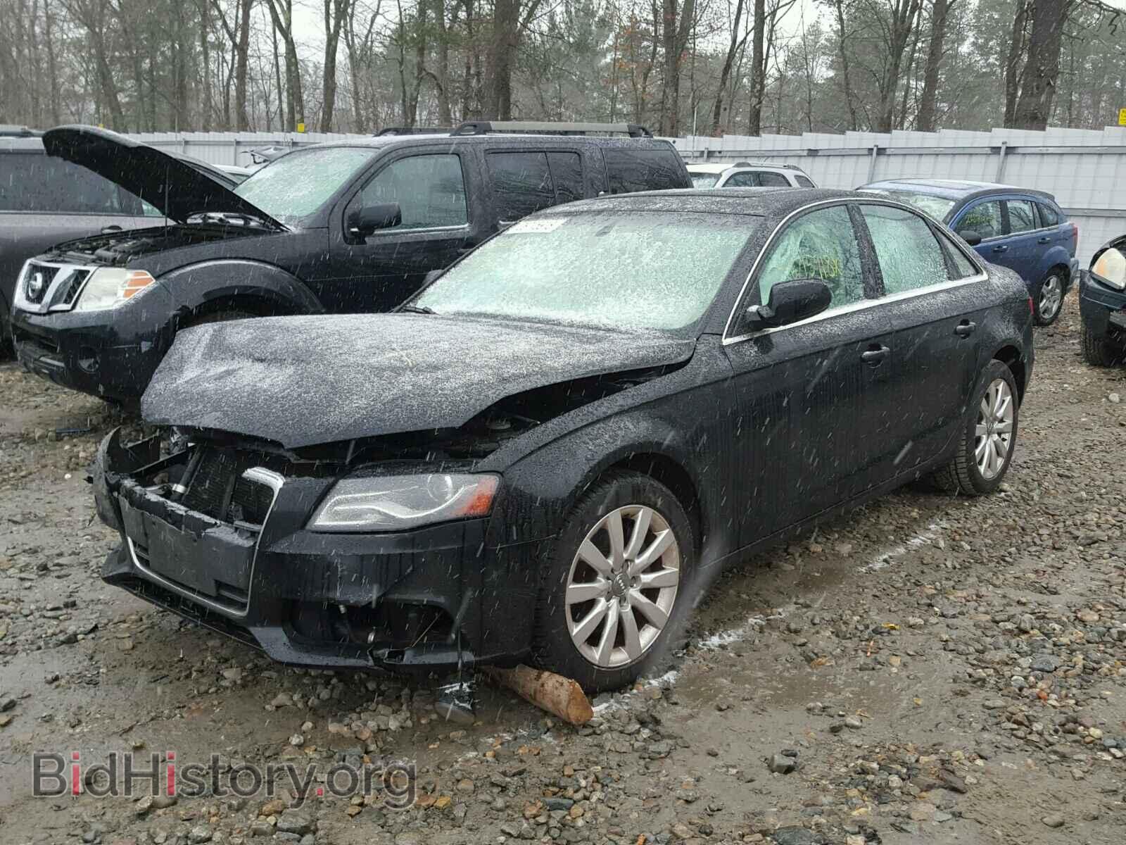 2010 AUDI A4 - VIN: WAUFFAFL3AN027338 - Фото 2
