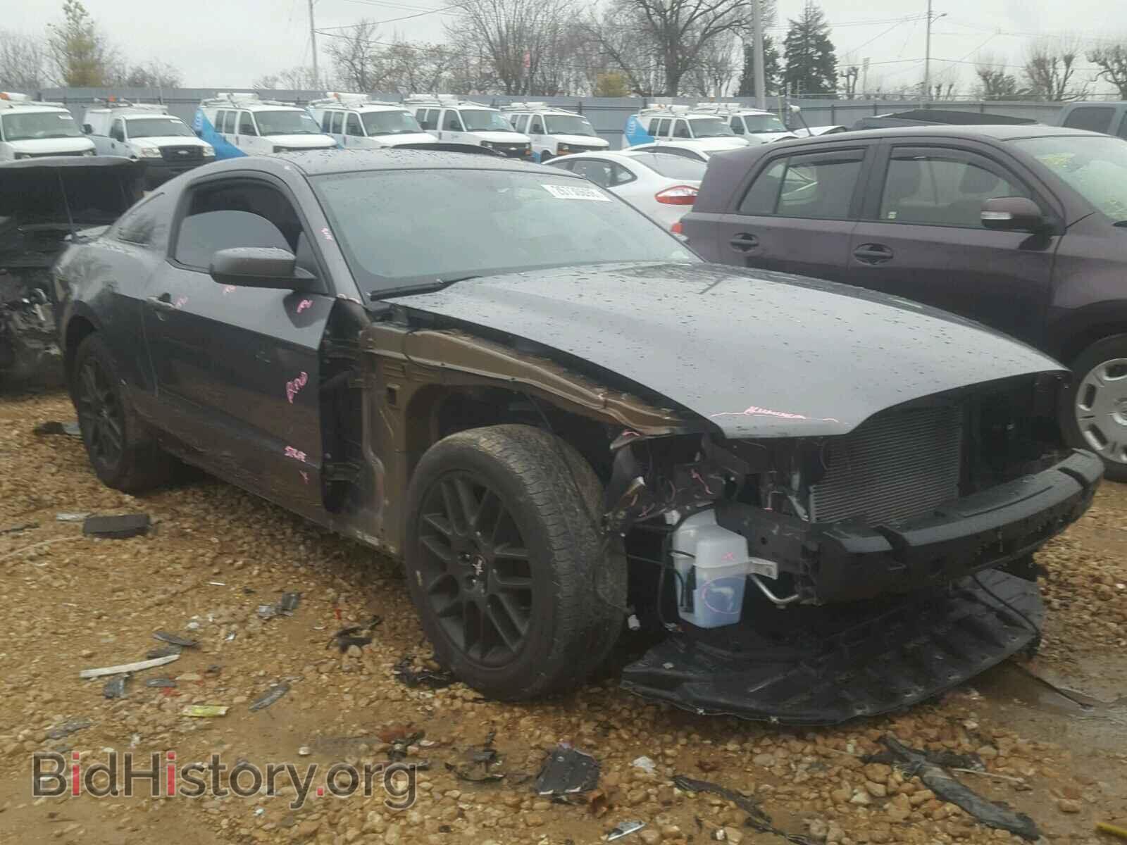 Фотография 1ZVBP8AM1D5262281 - FORD MUSTANG 2013
