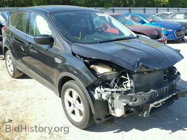 Фотография 1FMCU0G97DUC03810 - FORD ESCAPE 2013
