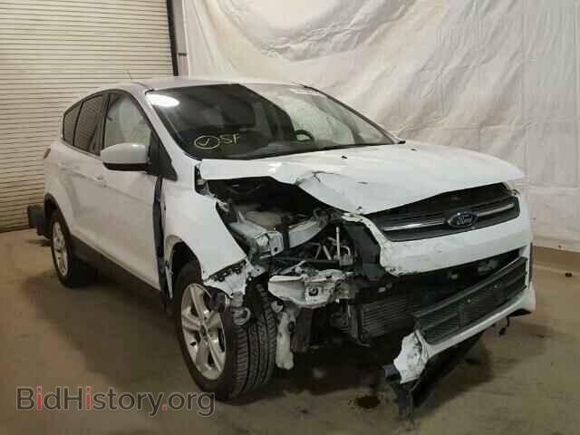 Фотография 1FMCU9GXXDUB16955 - FORD ESCAPE 2013
