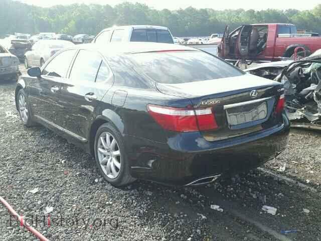 2008 LEXUS LS460 - VIN: JTHBL46FX85081962 - Фото 3