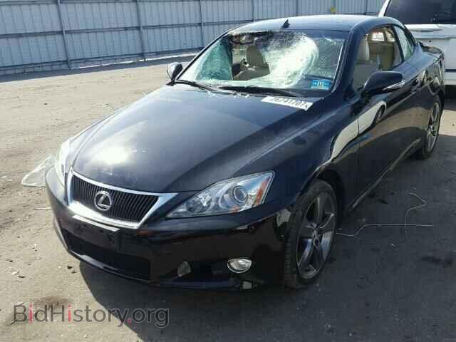 2010 LEXUS IS250 - VIN: JTHFF2C2XA2510314 - Фото 2