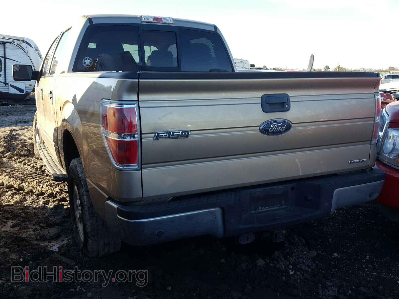 2013 FORD F150 - VIN: 1FTEW1CM9DFA20341 - Фото 3