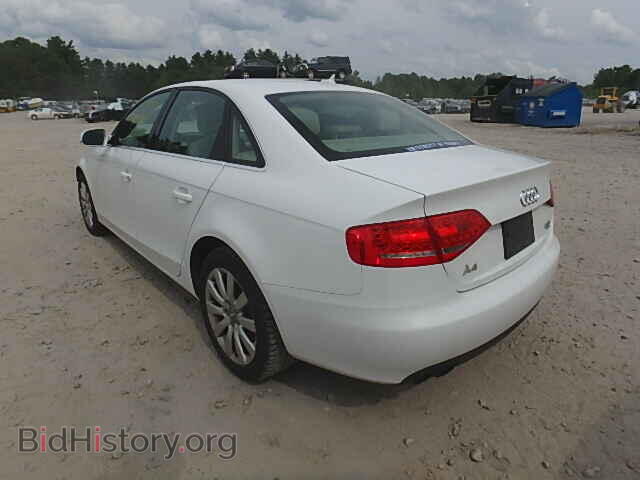 2011 AUDI A4 - VIN: WAUFFAFL3BN024148 - Фото 3