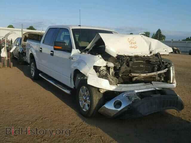 Фотография 1FTFW1CF1DFD69290 - FORD F150 2013