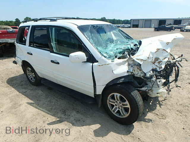 Photo 5FNYF184X5B011613 - HONDA PILOT 2005