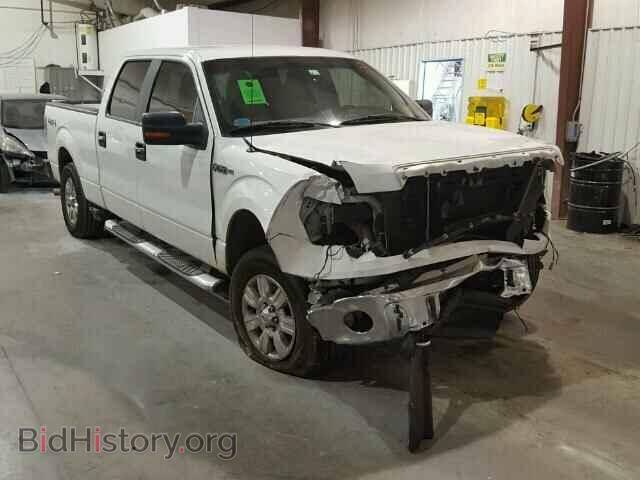 Фотография 1FTFW1EV2AFB08864 - FORD F150 2010